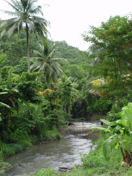 Martinique Juillet 2004